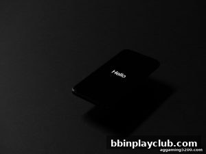 AG真人 bbinplayclub