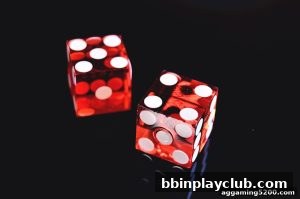 AG真人 bbinplayclub